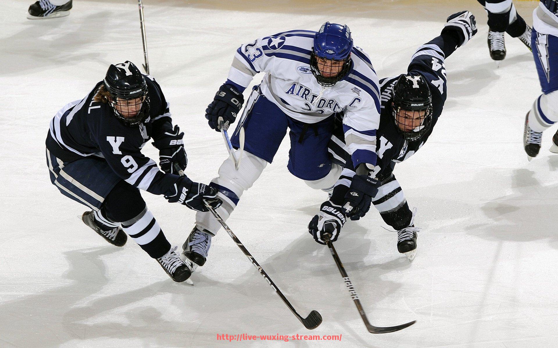 五星体育直播-法甲赛季球员评价体系及表现综合分析