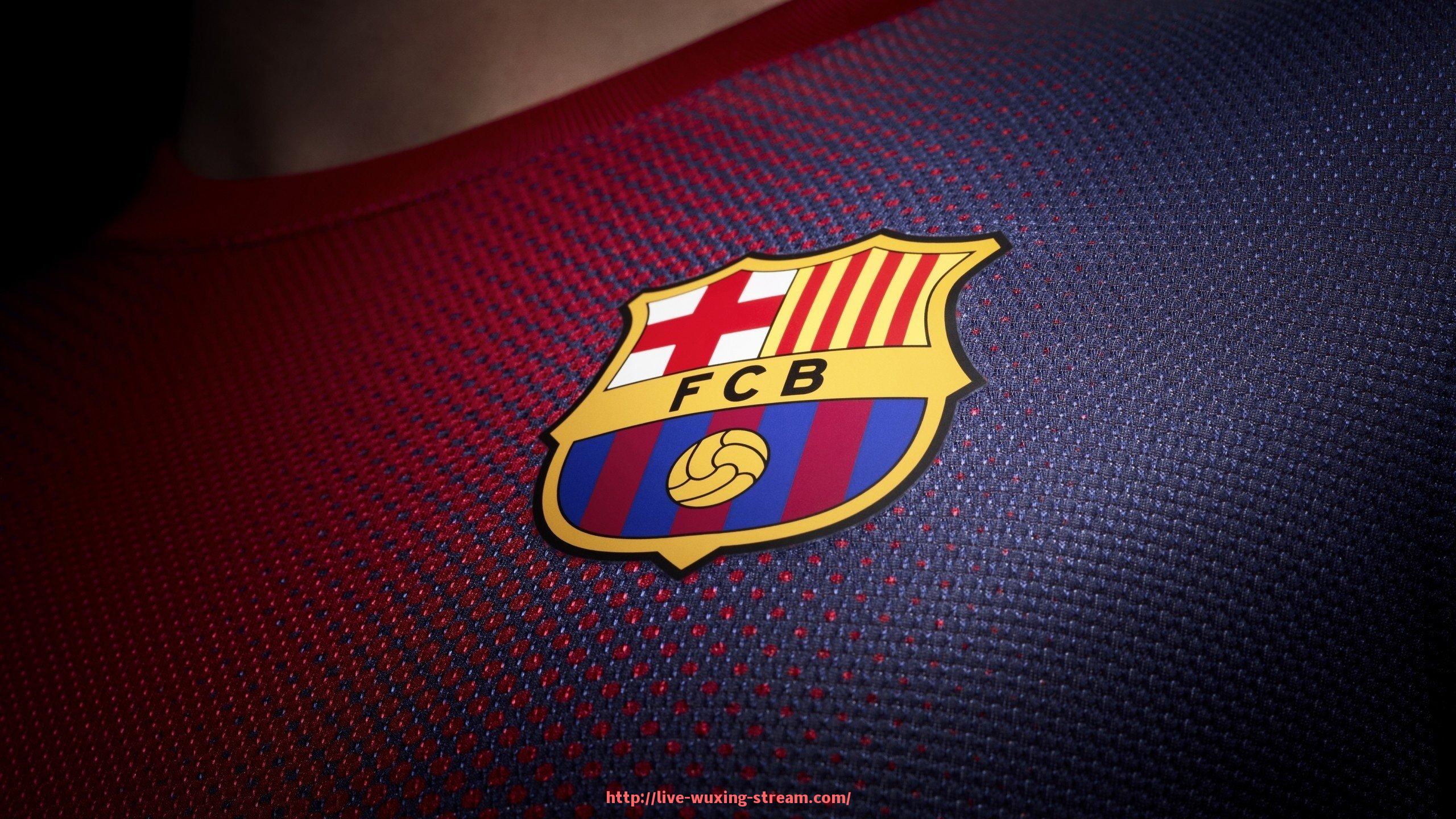 五星体育直播-天津地区优质健身器材市场分析及推荐