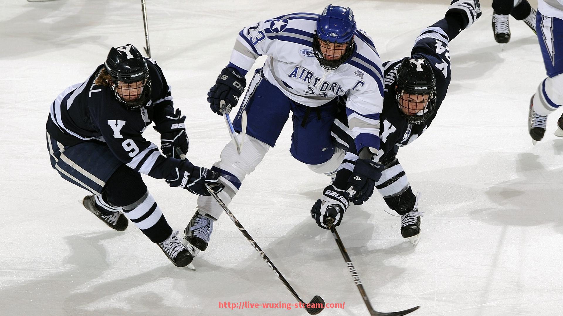 五星体育直播-火箭队主力球员表现及数据分析